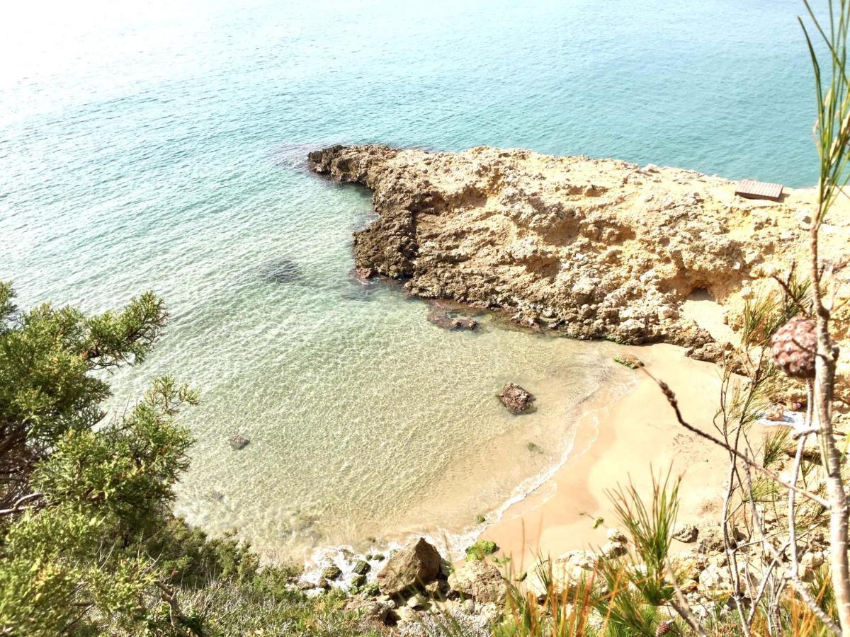Synergie Si01 - Ideal Para Descansar Salou Exteriör bild